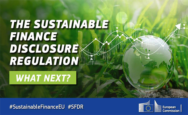 Report on Sustainable Finance Disclosure Regulation (SFDR) 